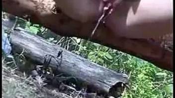 Dasha pees sitting on a log